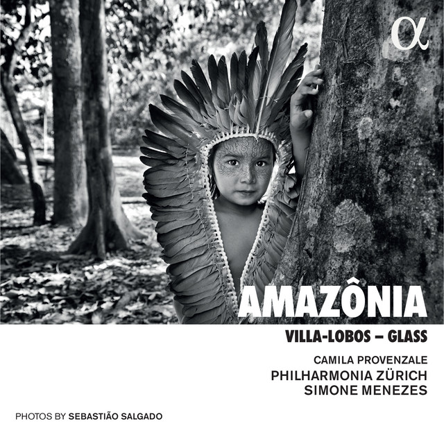 Floresta do Amazonas: XI. Epilogo