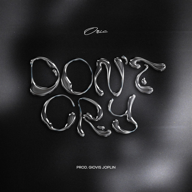 Don't cry cover art
