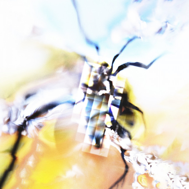 Wasteland cover art
