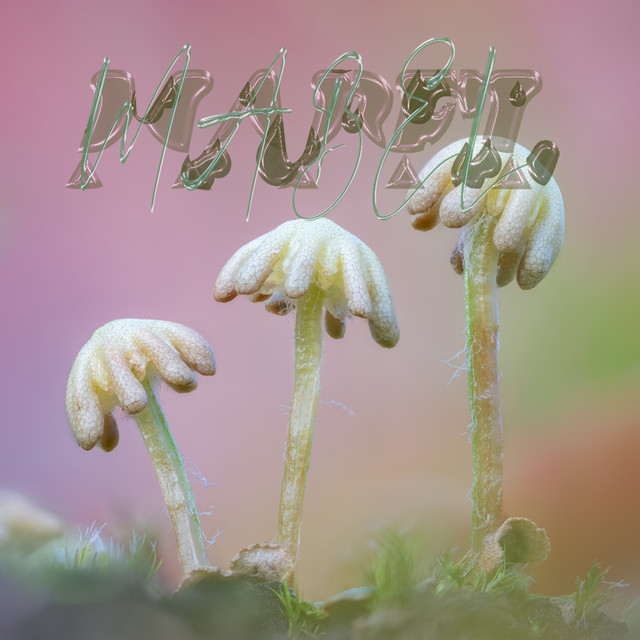 Hybrid cover art