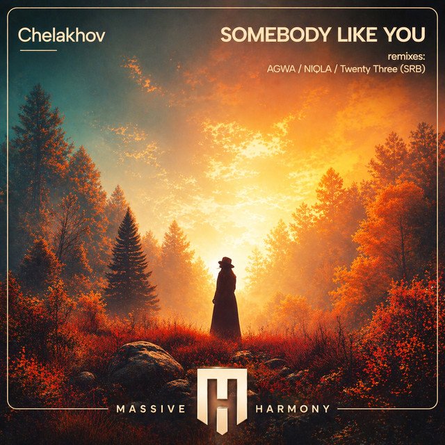 Somebody Like You - NIQLA Remix cover art