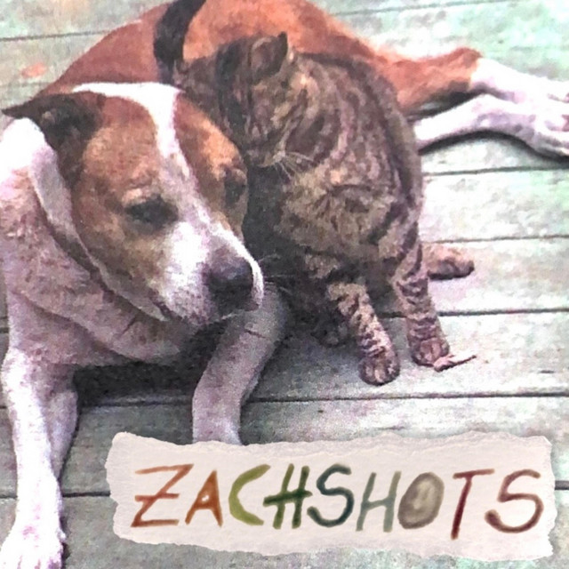 Zachshots cover art