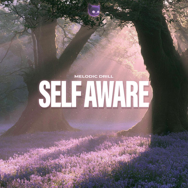 Self Aware (Melodic Drill) album image