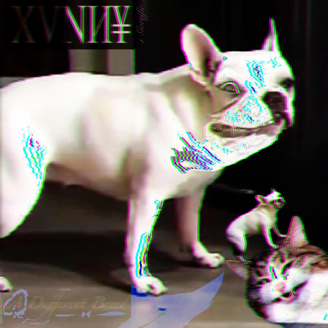 A Different Breed cover art