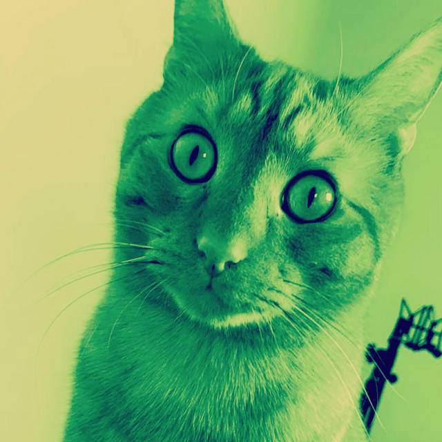 Green cover art