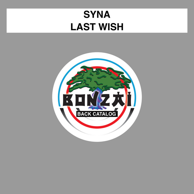 Last Wish cover