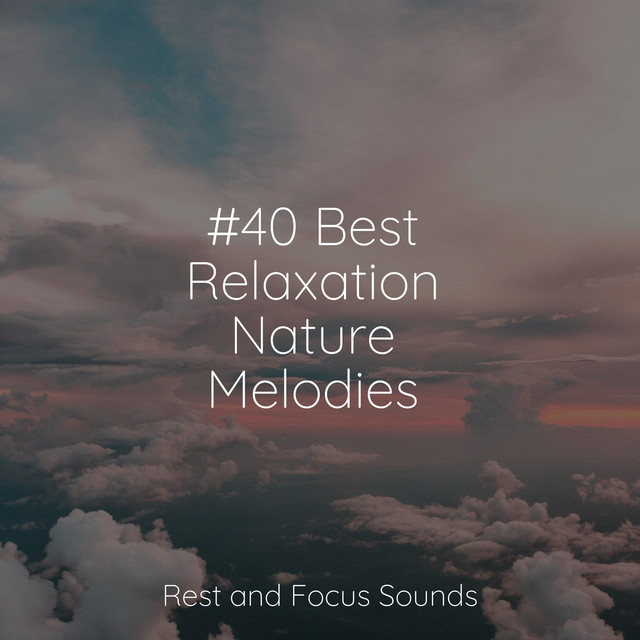 #40 Best Relaxation Nature Melodies - Album by Serenity Spa Music ...