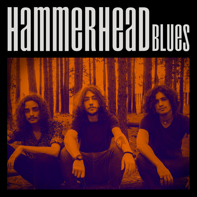 Hammerhead Blues cover