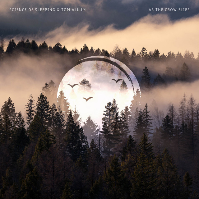 As the Crow Flies cover art