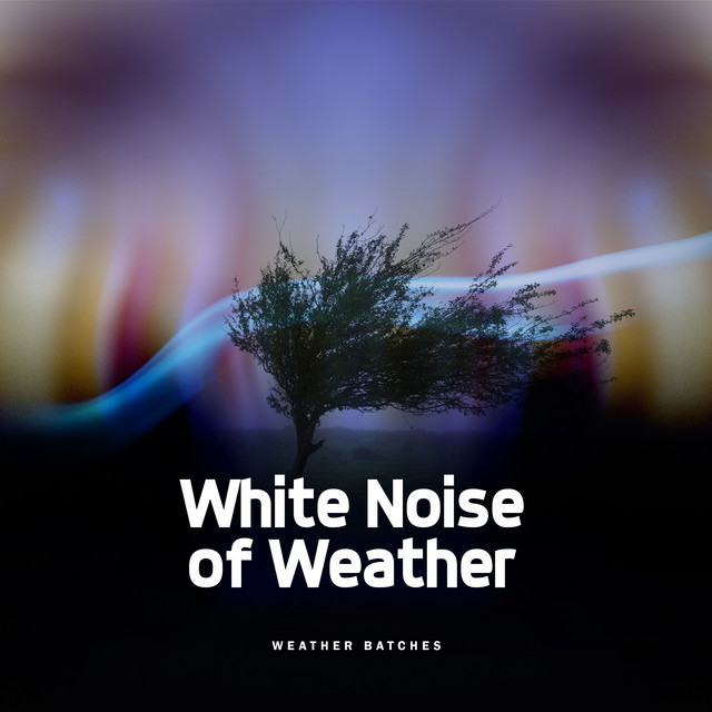 White Noise of Weather cover art