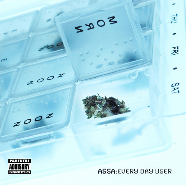 Every Day User cover art