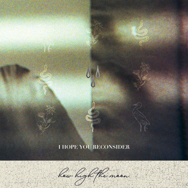 I Hope You Reconsider cover