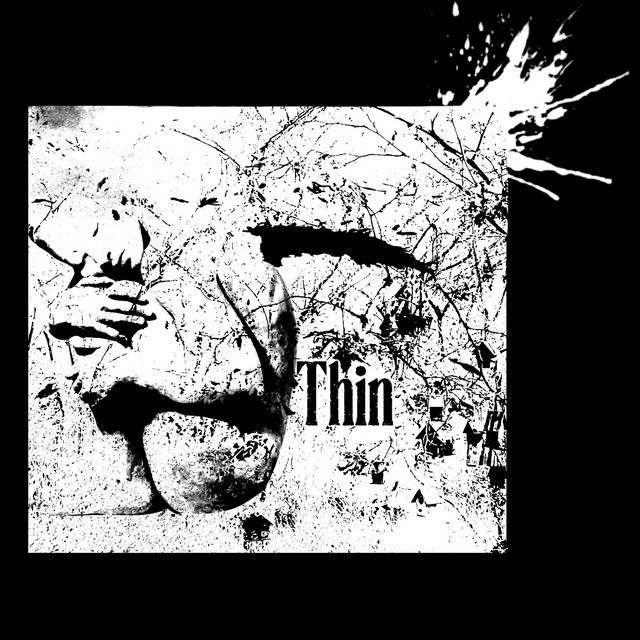 Thin cover art