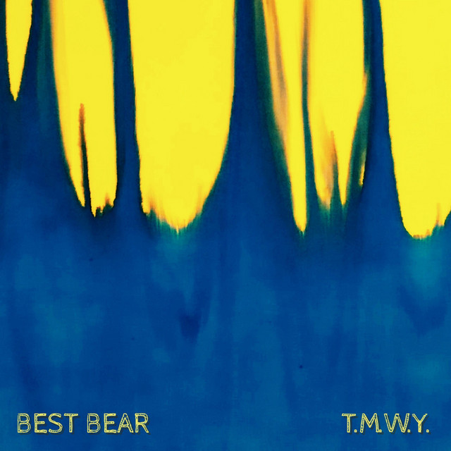 T.M.W.Y. cover
