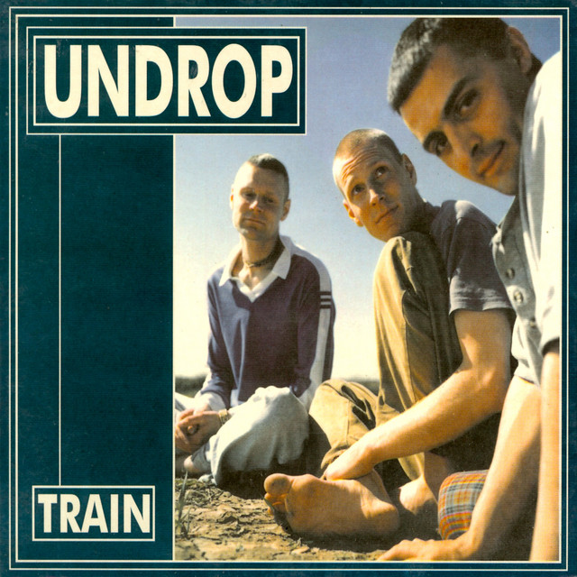 Train cover