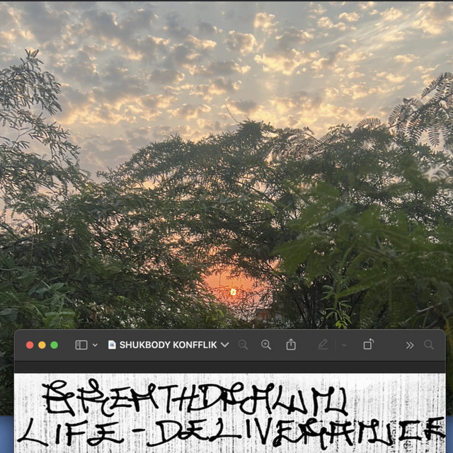 shukbody konfflik cover art
