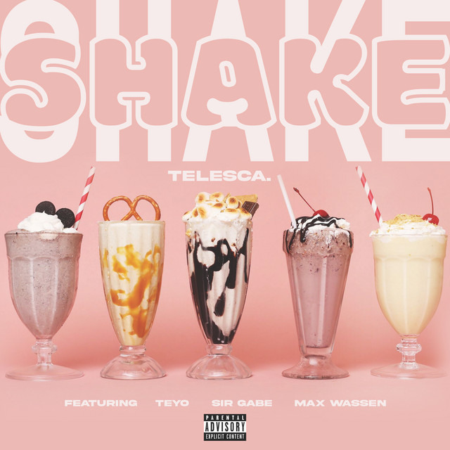 SHAKE cover art