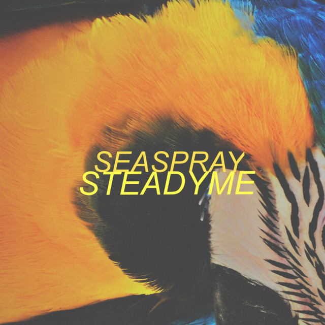 Steadyme cover