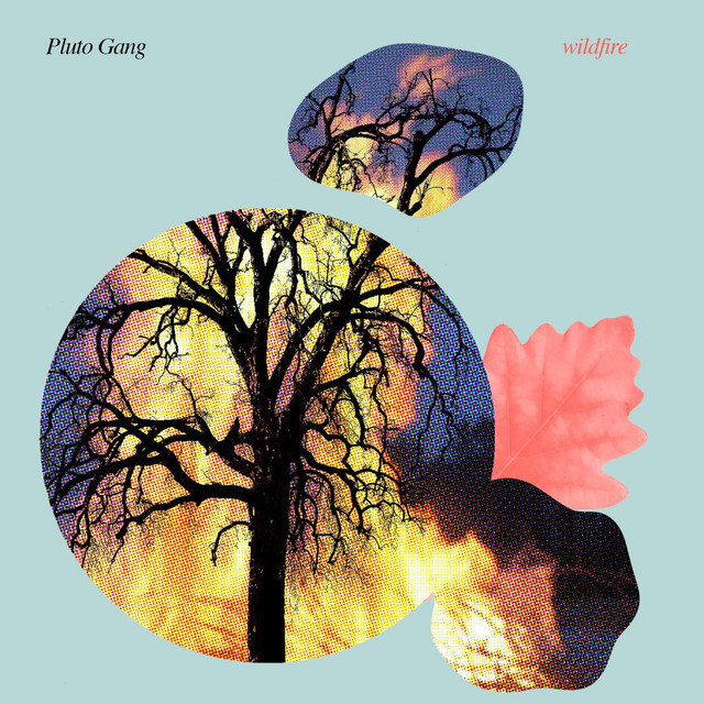 Wildfire cover art