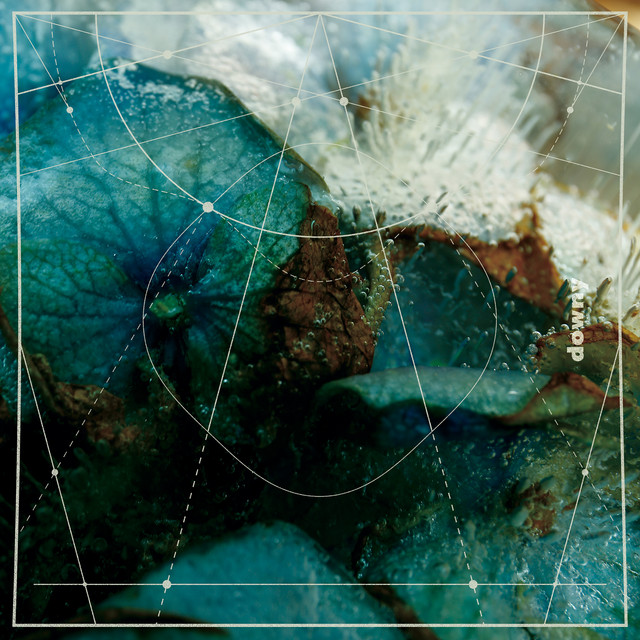 凍る花 Song And Lyrics By Downy Spotify