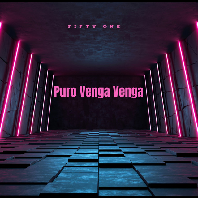 Puro Venga Venga cover art