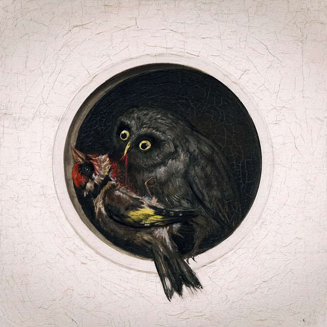 undefined album image