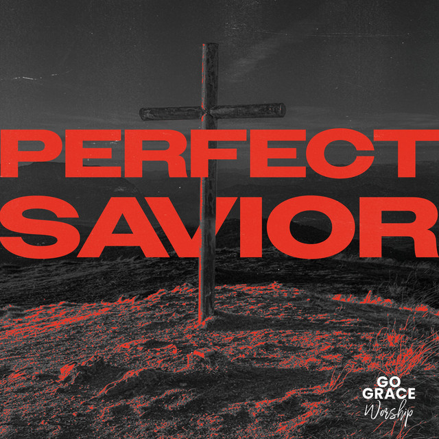 Perfect Savior