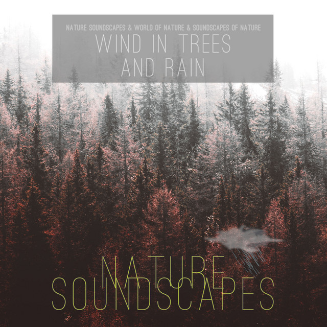 Wind in Trees and Rain cover art