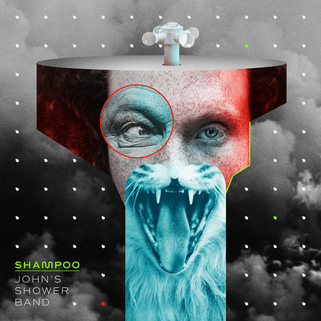Shampoo cover art