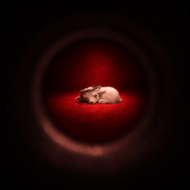 God, Not Man cover art