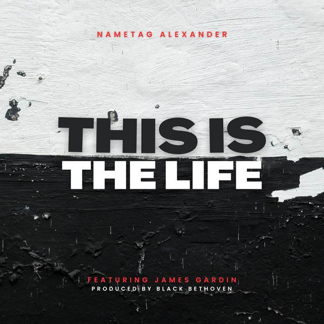 This Is The Life - Single by Nametag Alexander | Spotify