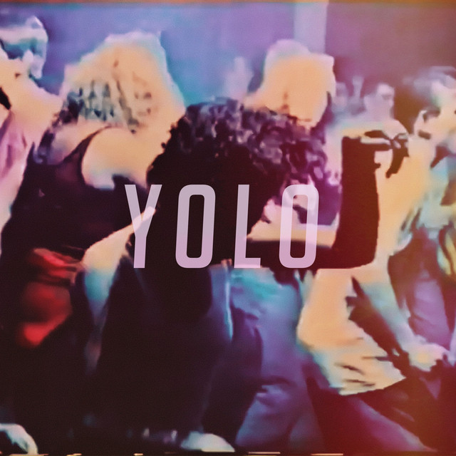 Yolo cover