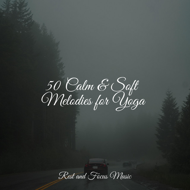 50 Calm & Soft Melodies for Yoga - Album by Spa Relaxation | Spotify