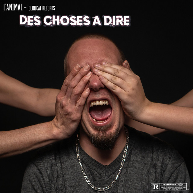 Des choses à dire cover art