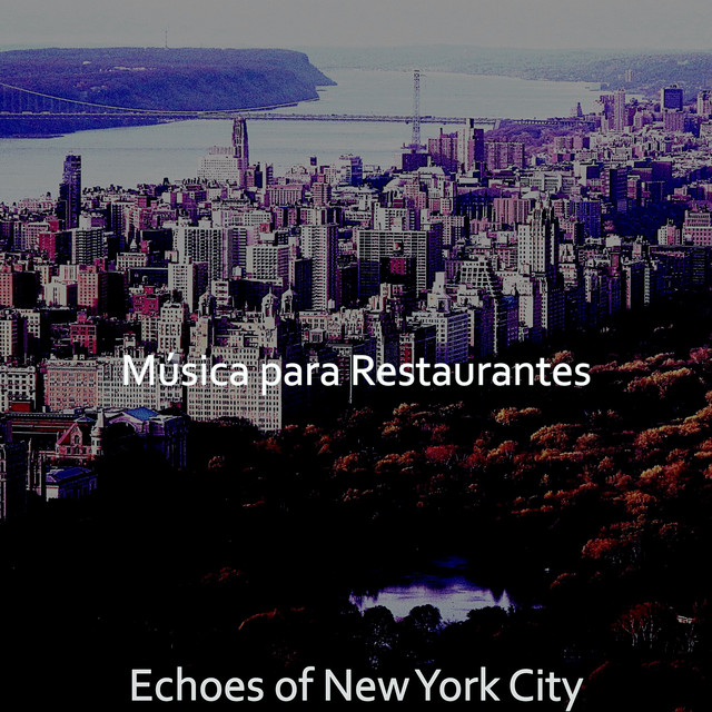 Echoes of New York City cover art