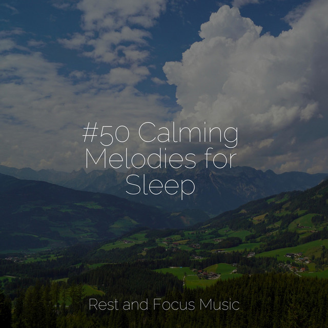 #50 Calming Melodies for Sleep cover art
