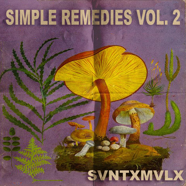 SIMPLE REMEDIES VOL. 2 cover art