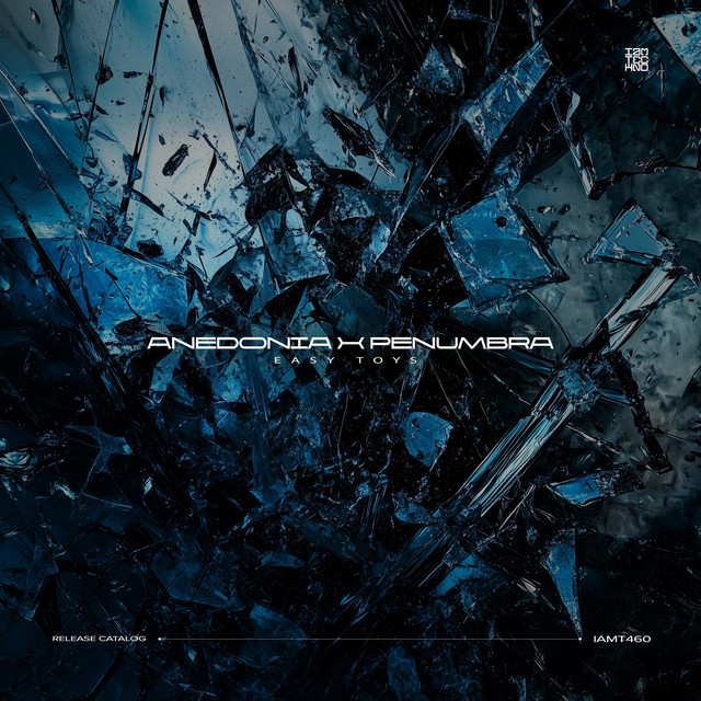 Anedonia album art
