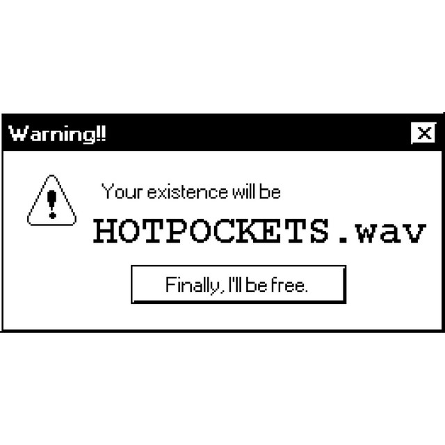 HOTPOCKETS.wav (untitled 13trash_114_CCBEAT.wav edition) (single)