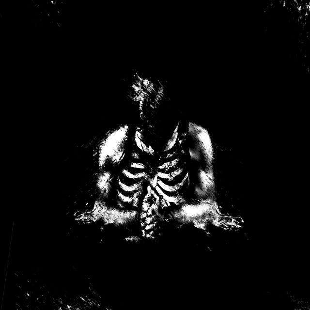 RESET cover art