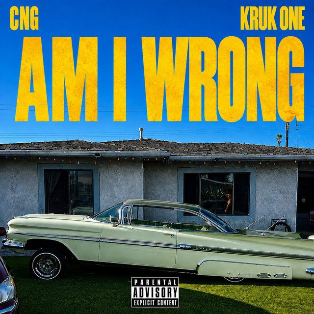 Am I Wrong cover