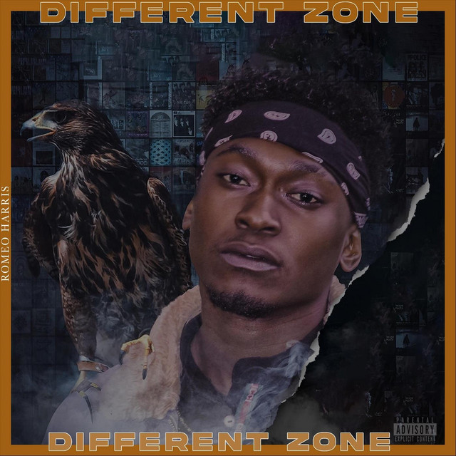 DIFFERENT ZONE cover art