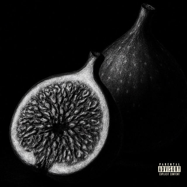 FIG cover art