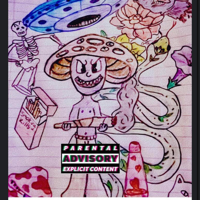 Lost little fungi cover art
