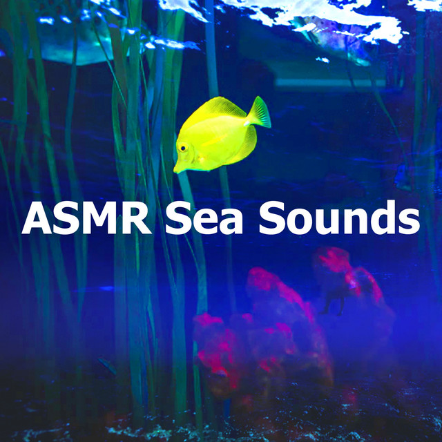 ASMR Sea Sounds - Album by ASMR Ocean Sounds | Spotify
