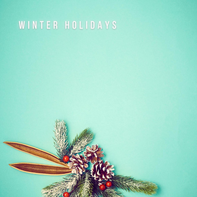 Обкладинка: Winter Holidays — Lesfm