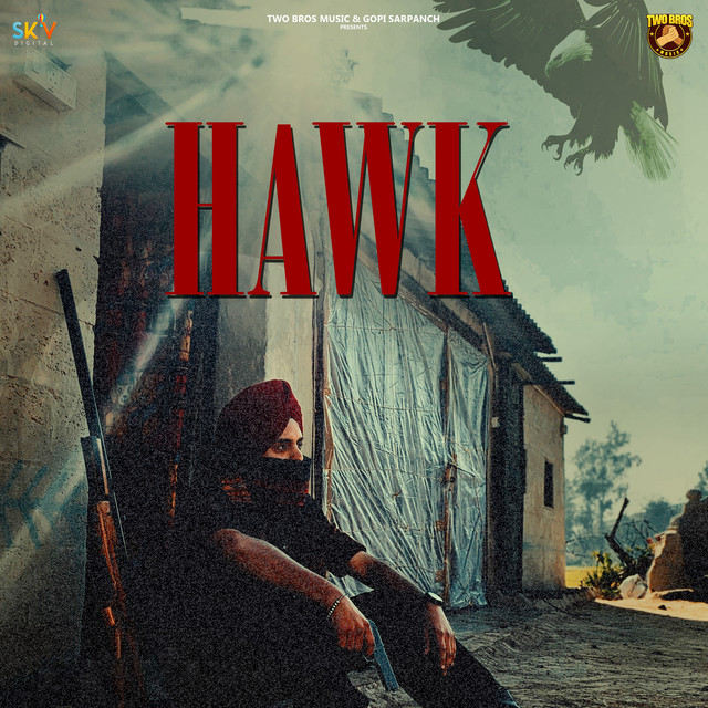 Hawk