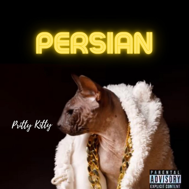 Persian cover art