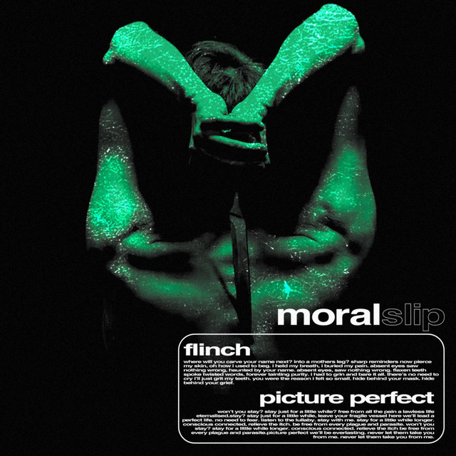 flinch/pictureperfect cover art