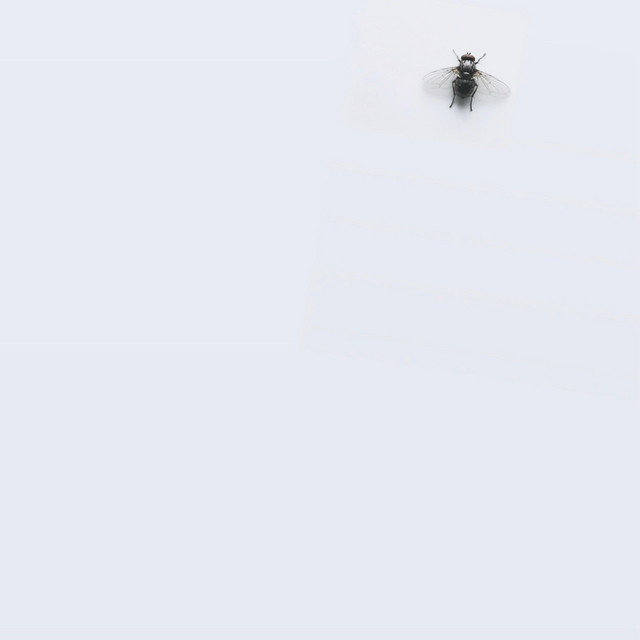 끈질기게 album image